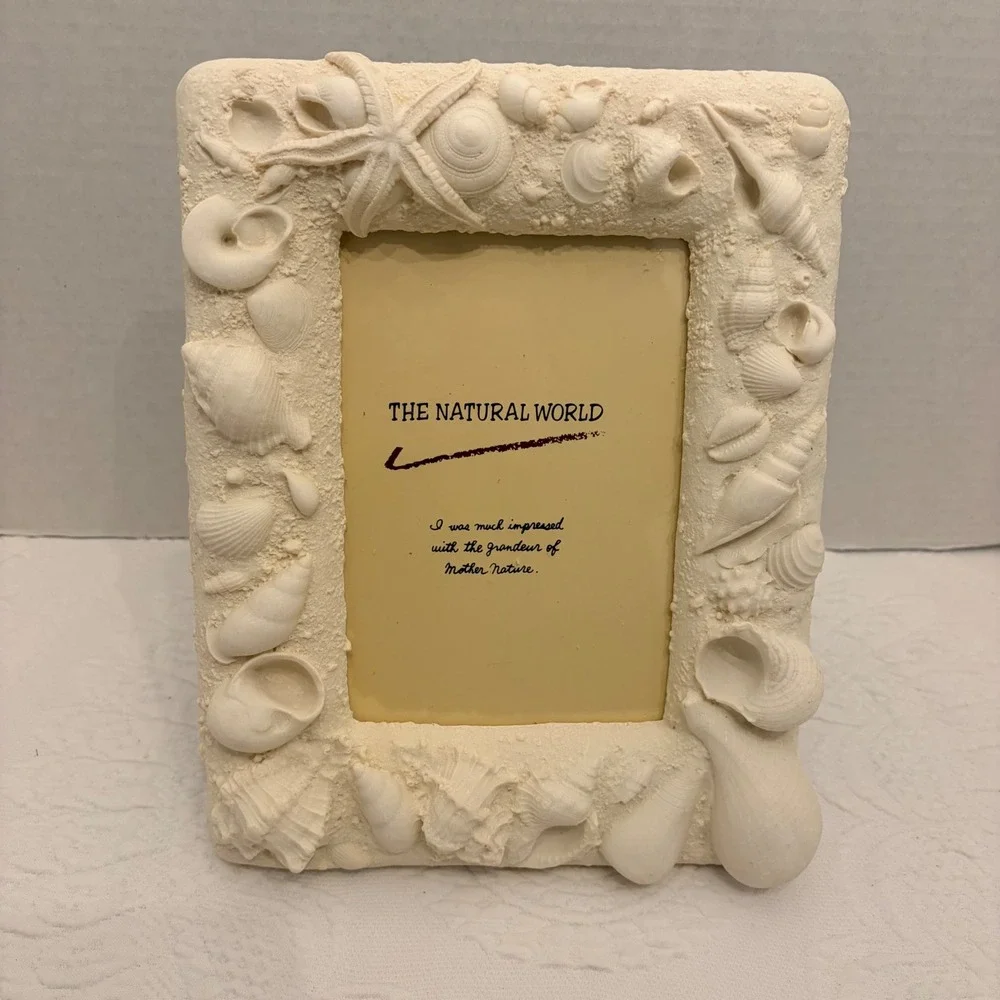 The Natural World Coastal Seashell Picture Frame & 4 Natural Shell Decor Conch